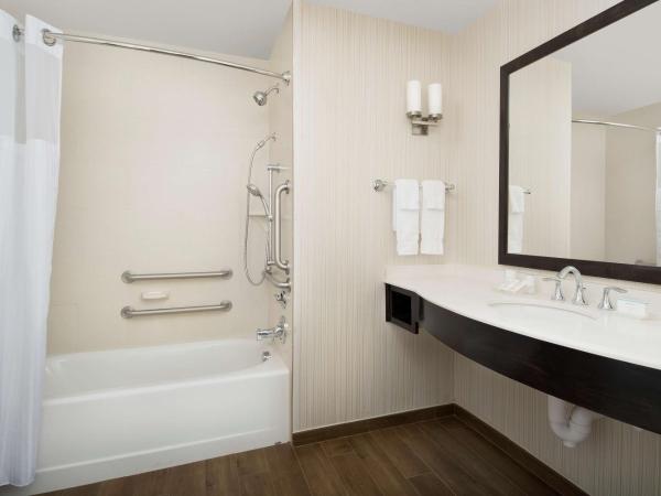 Hilton Garden Inn Charlotte Airport : photo 6 de la chambre chambre lit king-size avec baignoire accessible aux personnes à mobilité réduite - adaptée aux personnes à mobilité réduite