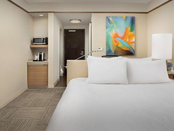 Hilton Garden Inn Charlotte Airport : photo 2 de la chambre chambre lit king-size premium