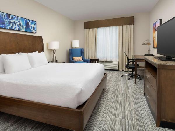 Hilton Garden Inn Charlotte Airport : photo 1 de la chambre chambre lit king-size