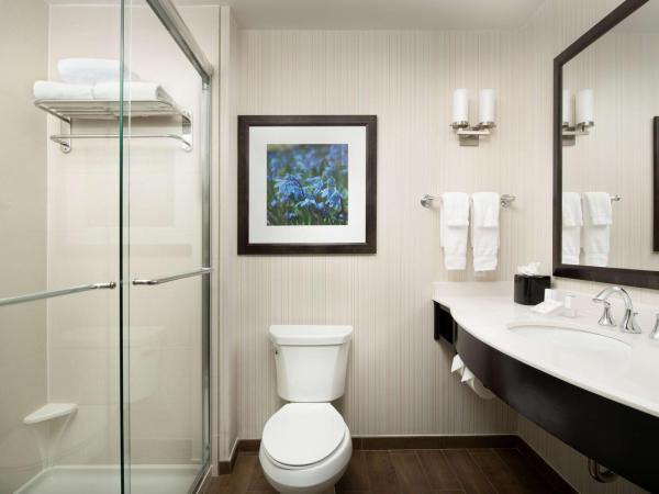 Hilton Garden Inn Charlotte Airport : photo 4 de la chambre chambre lit king-size