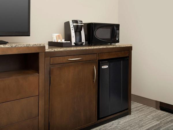 Hilton Garden Inn Charlotte Airport : photo 5 de la chambre chambre lit king-size avec baignoire accessible aux personnes à mobilité réduite - adaptée aux personnes à mobilité réduite