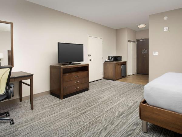 Hilton Garden Inn Charlotte Airport : photo 4 de la chambre chambre lit king-size avec baignoire accessible aux personnes à mobilité réduite - adaptée aux personnes à mobilité réduite