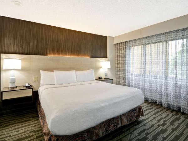 Embassy Suites Charlotte : photo 1 de la chambre suite 2 pièces avec lit king-size - non-fumeurs