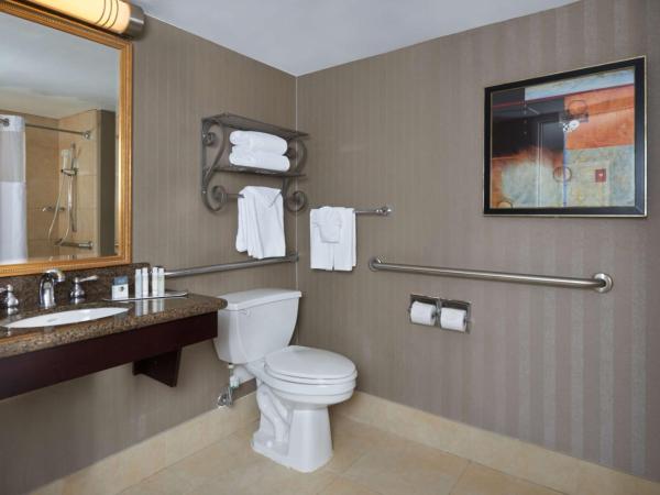 DoubleTree by Hilton Dallas Market Center : photo 2 de la chambre king room accessible tub - mobility access/non-smoking
