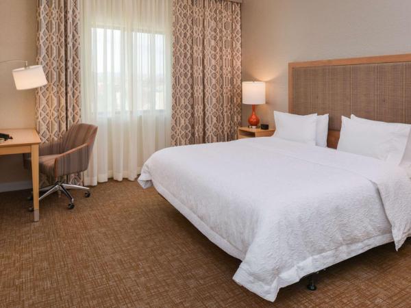 Hampton Inn & Suites Denver-Speer Boulevard : photo 1 de la chambre chambre lit king-size - accessible aux personnes à mobilité réduite - non-fumeurs