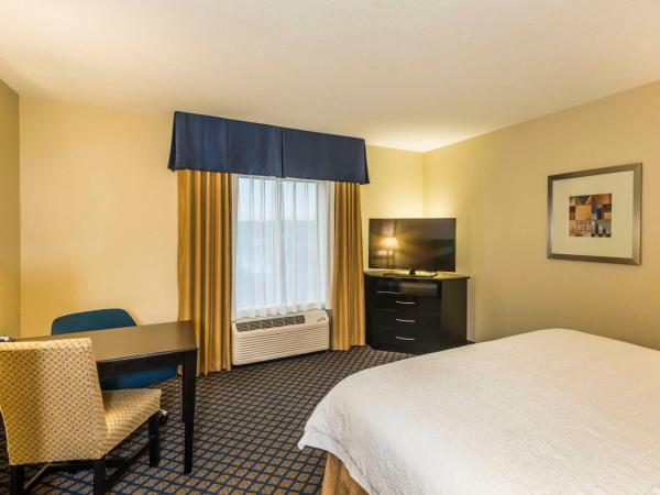 Hampton Inn & Suites Jacksonville South - Bartram Park : photo 3 de la chambre chambre lit king-size - adaptée aux personnes malentendantes - non-fumeurs