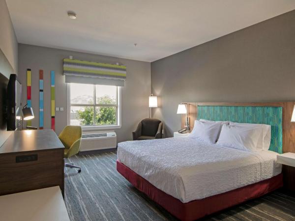 Hampton Inn by Hilton Kamloops : photo 2 de la chambre chambre lit king-size pour personnes à mobilité réduite - non-fumeurs