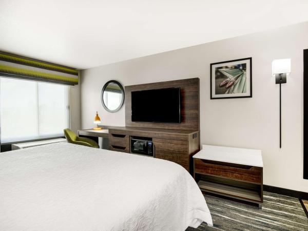 Hampton Inn & Suites Las Vegas-Henderson : photo 1 de la chambre chambre lit king-size - non-fumeurs