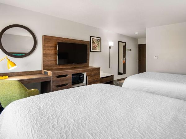 Hampton Inn & Suites Las Vegas-Henderson : photo 2 de la chambre chambre 2 lits queen-size - non-fumeurs