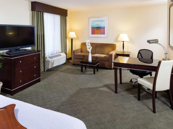 Hampton Inn & Suites Las Vegas South : photo 1 de la chambre suite studio lit king-size avec canapé-lit – non-fumeurs