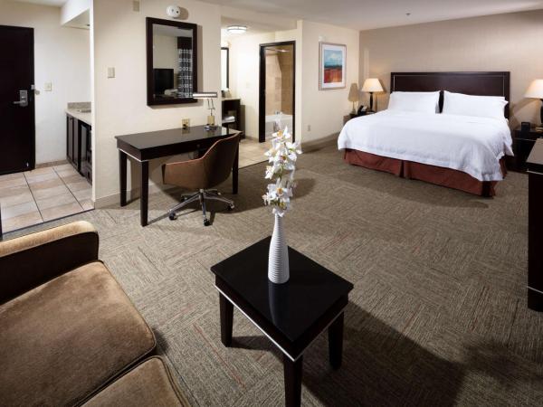 Hampton Inn & Suites Las Vegas South : photo 3 de la chambre suite studio lit king-size avec canapé-lit – non-fumeurs