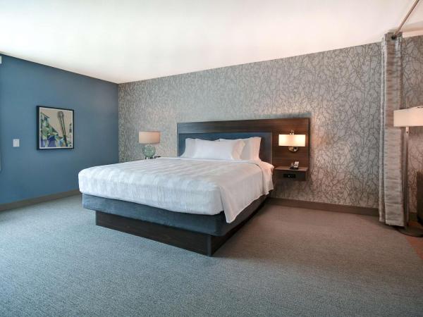 Home2 Suites by Hilton Las Vegas Convention Center - No Resort Fee : photo 2 de la chambre studio suite lit king-size - adapté aux personnes à mobilité réduite - non-fumeurs