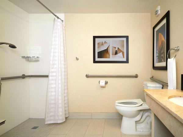 Embassy Suites Los Angeles - International Airport/North : photo 3 de la chambre chambre lit king-size avec douche accessible en fauteuil roulant - adaptée aux personnes à mobilité réduite/non-fumeurs
