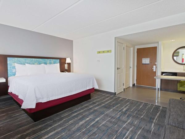 Hampton Inn & Suites Orlando International Drive North : photo 3 de la chambre suite studio lit king-size