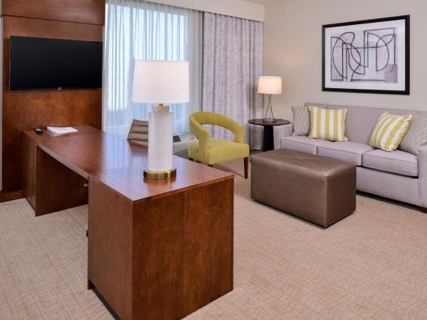 Hampton Inn & Suites Orlando/Downtown South - Medical Center : photo 1 de la chambre suite lit king-size avec canapé-lit - non-fumeurs