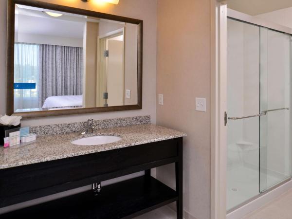Hampton Inn & Suites Orlando/Downtown South - Medical Center : photo 2 de la chambre suite lit king-size avec canapé-lit - non-fumeurs
