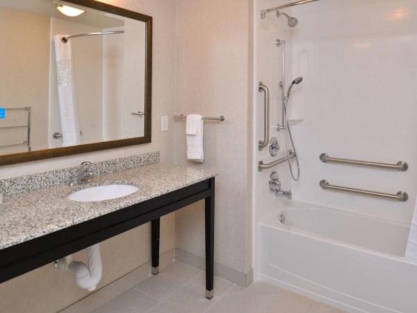 Hampton Inn & Suites Orlando/Downtown South - Medical Center : photo 4 de la chambre chambre lit king-size adaptée aux personnes malentendantes