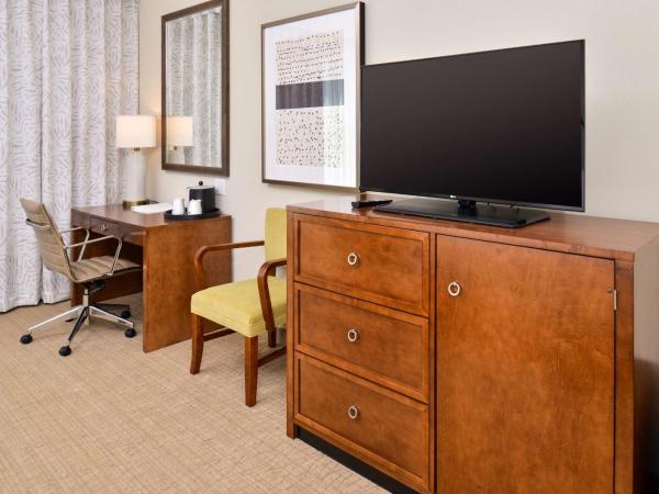 Hampton Inn & Suites Orlando/Downtown South - Medical Center : photo 3 de la chambre chambre lit king-size avec douche accessible en fauteuil roulant - adaptée aux personnes à mobilité réduite/malentendantes