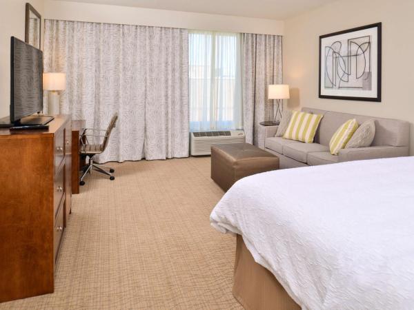 Hampton Inn & Suites Orlando/Downtown South - Medical Center : photo 4 de la chambre chambre lit king-size avec canapé-lit - non-fumeurs