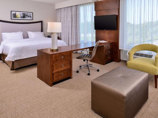 Hampton Inn & Suites Orlando/Downtown South - Medical Center : photo 4 de la chambre suite lit king-size avec canapé-lit - non-fumeurs