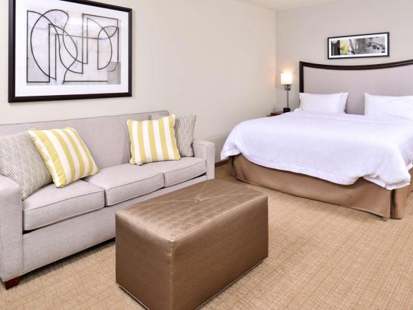 Hampton Inn & Suites Orlando/Downtown South - Medical Center : photo 5 de la chambre chambre lit king-size avec canapé-lit - non-fumeurs