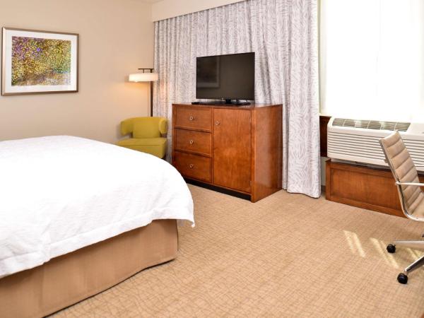 Hampton Inn & Suites Orlando/Downtown South - Medical Center : photo 4 de la chambre chambre lit king-size - non-fumeurs