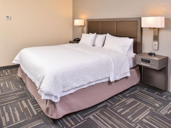 Hampton Inn Closest to Universal Orlando : photo 2 de la chambre chambre lit king-size avec douche accessible en fauteuil roulant - adaptée aux personnes à mobilité réduite/non-fumeurs