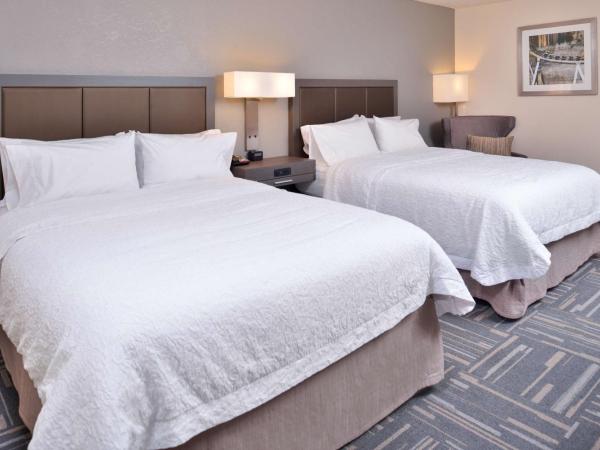 Hampton Inn Closest to Universal Orlando : photo 2 de la chambre chambre 2 lits queen-size - non-fumeurs