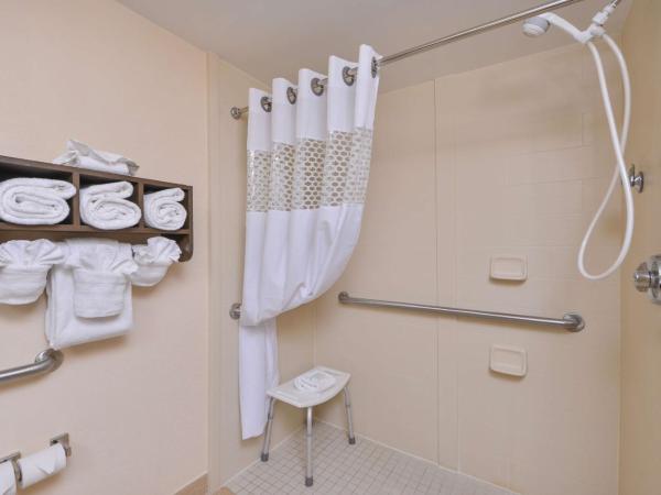 Hampton Inn Closest to Universal Orlando : photo 4 de la chambre chambre lit king-size avec douche accessible en fauteuil roulant - adaptée aux personnes à mobilité réduite/non-fumeurs