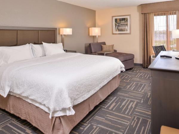 Hampton Inn Closest to Universal Orlando : photo 5 de la chambre chambre lit king-size - non-fumeurs