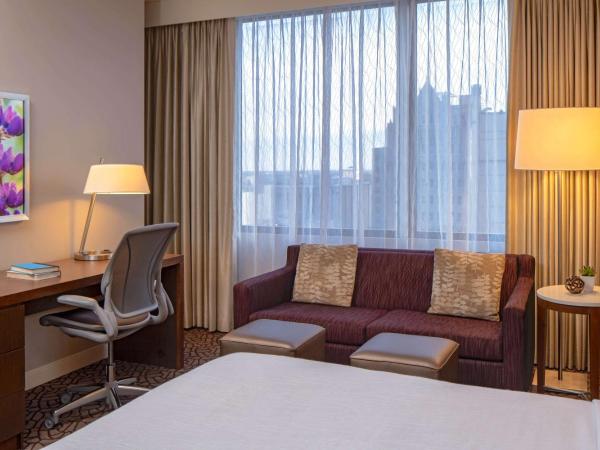 Hilton Garden Inn Downtown Dallas : photo 1 de la chambre chambre lit king-size deluxe avec canapé-lit