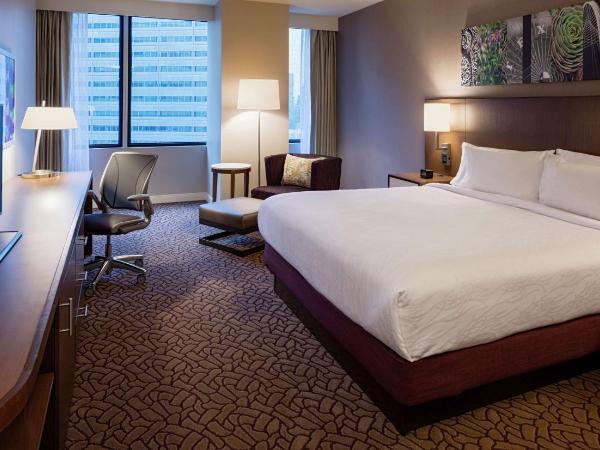 Hilton Garden Inn Downtown Dallas : photo 5 de la chambre chambre lit king-size