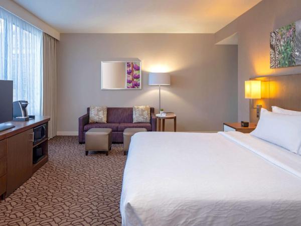Hilton Garden Inn Downtown Dallas : photo 7 de la chambre suite junior lit king-size avec canapé-lit