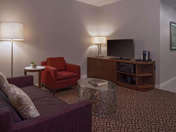 Hilton Garden Inn Downtown Dallas : photo 1 de la chambre suite 1 chambre lit king-size avec canapé-lit