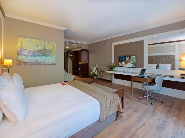 Ramada by Wyndham Istanbul Merter : photo 4 de la chambre chambre lit king-size deluxe - non-fumeurs 