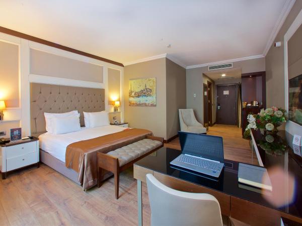 Ramada by Wyndham Istanbul Merter : photo 6 de la chambre chambre lit king-size deluxe - non-fumeurs 