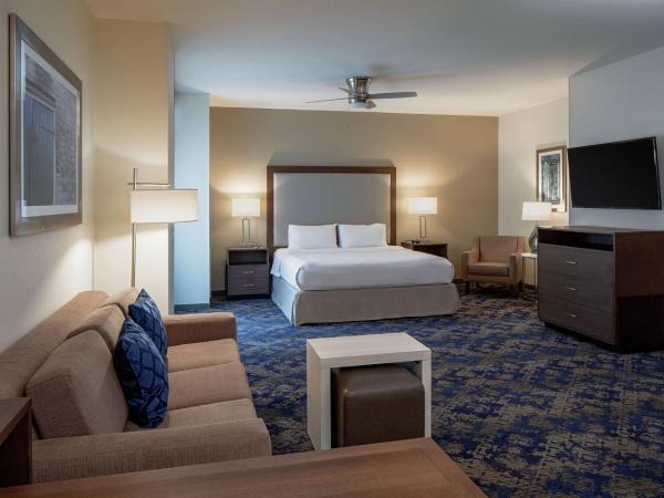 Homewood Suites By Hilton New Orleans French Quarter : photo 2 de la chambre suite lit king-size premium