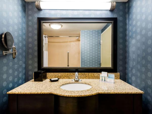 Hampton Inn Murrells Inlet/Myrtle Beach Area : photo 4 de la chambre chambre lit king-size - non-fumeurs