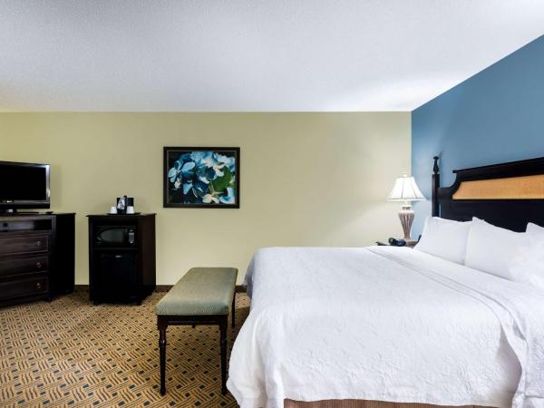 Hampton Inn Murrells Inlet/Myrtle Beach Area : photo 3 de la chambre chambre lit king-size - non-fumeurs