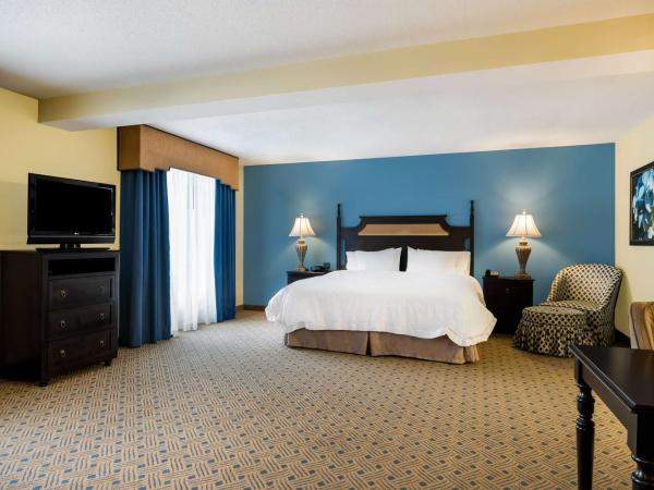 Hampton Inn Murrells Inlet/Myrtle Beach Area : photo 4 de la chambre suite studio lit king-size - non-fumeurs