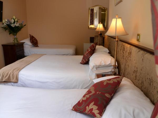 Gabriel House Guesthouse : photo 5 de la chambre chambre triple