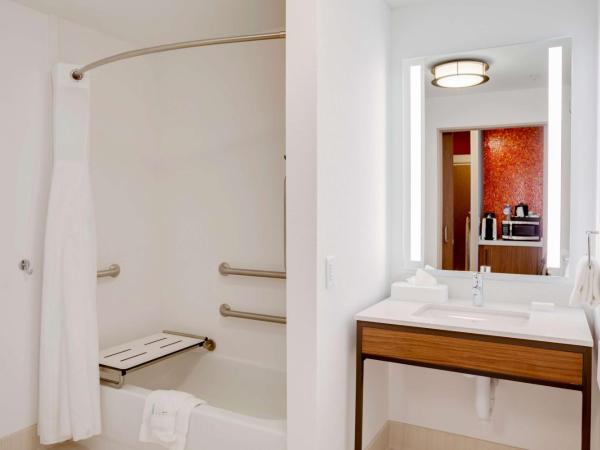 Hilton Garden Inn Oklahoma City Airport : photo 6 de la chambre chambre lit king-size avec baignoire - accessible aux personnes à mobilité réduite et adaptée aux personnes malentendantes