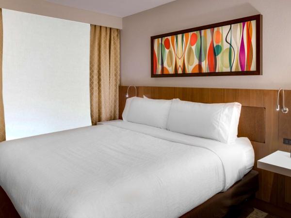 Hilton Garden Inn Oklahoma City Airport : photo 1 de la chambre suite 1 chambre lit king-size avec canapé-lit