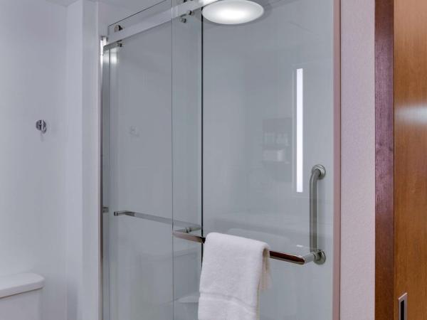 Hilton Garden Inn Oklahoma City Airport : photo 6 de la chambre chambre lit king-size