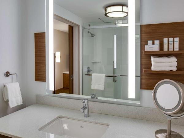 Hilton Garden Inn Oklahoma City Airport : photo 7 de la chambre chambre lit king-size