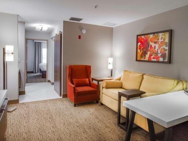 Hilton Garden Inn Oklahoma City Airport : photo 3 de la chambre suite 1 chambre lit king-size avec canapé-lit