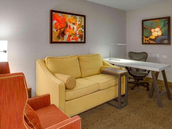 Hilton Garden Inn Oklahoma City Airport : photo 2 de la chambre suite 1 chambre lit king-size avec canapé-lit
