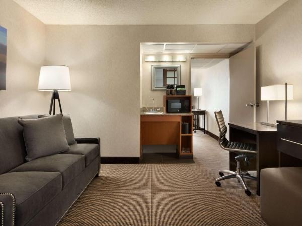 Embassy Suites by Hilton Oklahoma City Will Rogers Airport : photo 2 de la chambre chambre lit king-size - accessible aux personnes à mobilité réduite - non-fumeurs