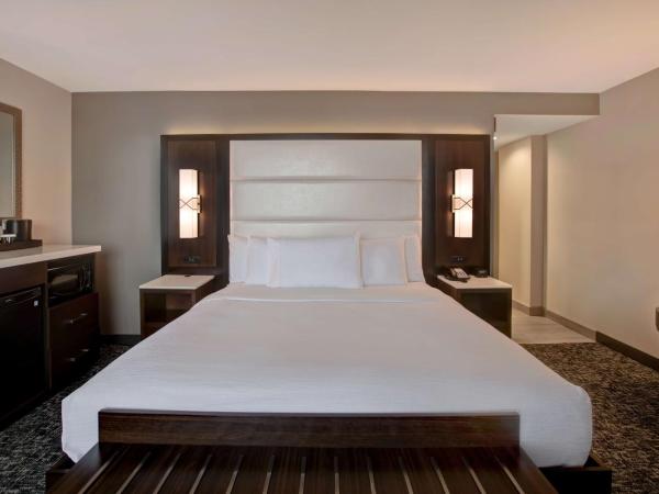 Embassy Suites By Hilton Oklahoma City Northwest : photo 3 de la chambre suite studio lit king-size