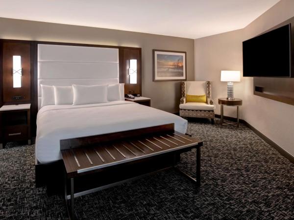 Embassy Suites By Hilton Oklahoma City Northwest : photo 2 de la chambre suite d’angle lit king-size
